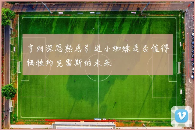 亨利深思熟虑引进小蜘蛛是否值得牺牲约克雷斯的未来
