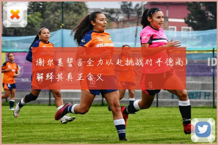 谢尔基誓言全力以赴挑战对手德尚解释其真正含义