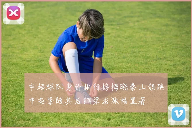 中超球队身价排行榜揭晓泰山领跑申花紧随其后铜梁龙涨幅显著